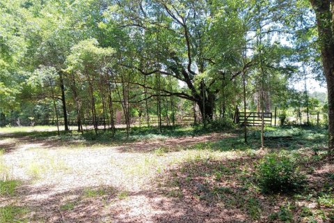 Land in Archer, Florida № 1780947 - photo 5