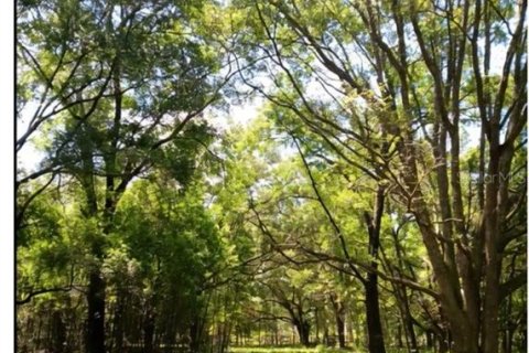 Land in Archer, Florida № 1780947 - photo 21