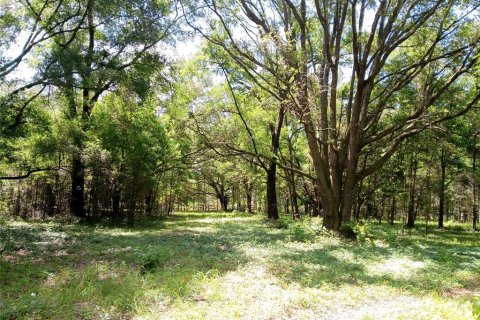 Land in Archer, Florida № 1780947 - photo 11