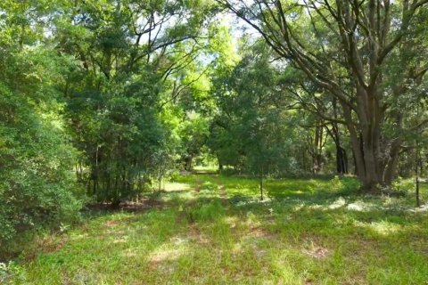 Land in Archer, Florida № 1780947 - photo 25