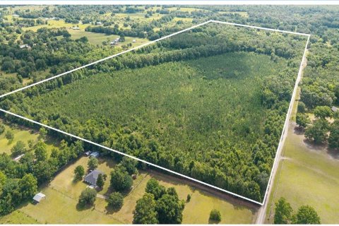 Land in Archer, Florida № 1780947 - photo 3
