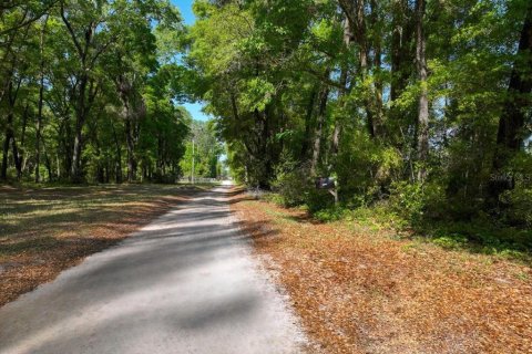 Land in Archer, Florida № 1780947 - photo 7