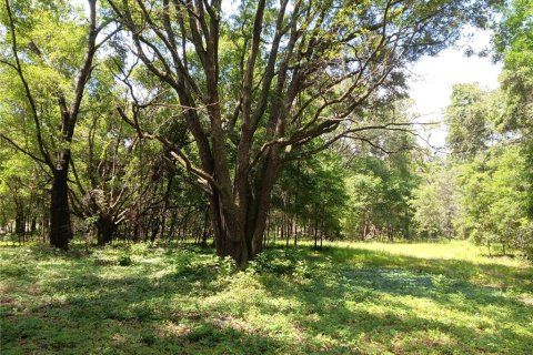 Land in Archer, Florida № 1780947 - photo 6