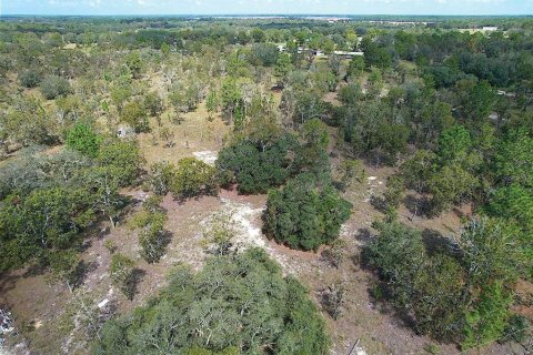 Land in Dunnellon, Florida № 1900286 - photo 8