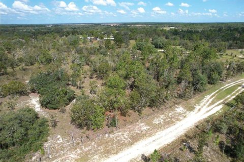 Land in Dunnellon, Florida № 1900286 - photo 1