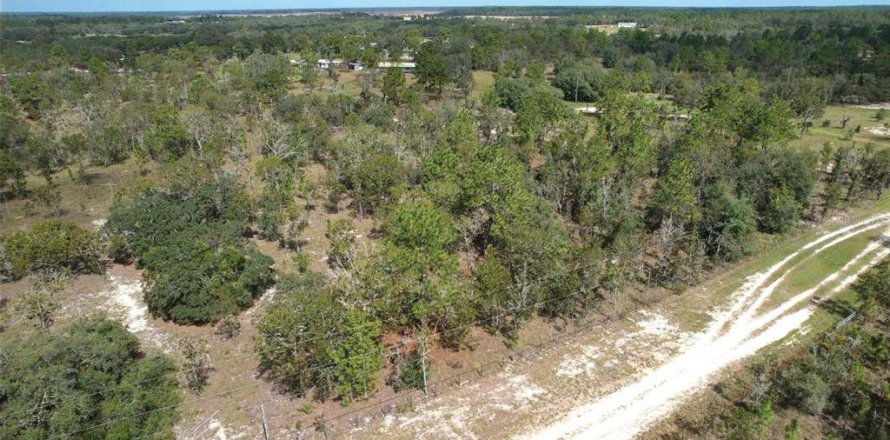 Land in Dunnellon, Florida № 1900286