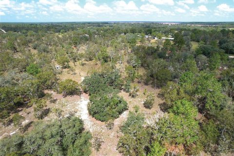 Land in Dunnellon, Florida № 1900286 - photo 10