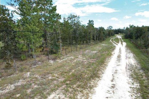 Land in Dunnellon, Florida № 1900286 - photo 11