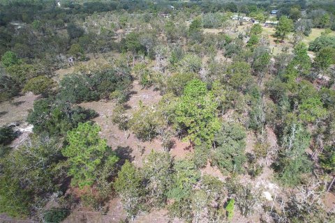 Land in Dunnellon, Florida № 1900286 - photo 9