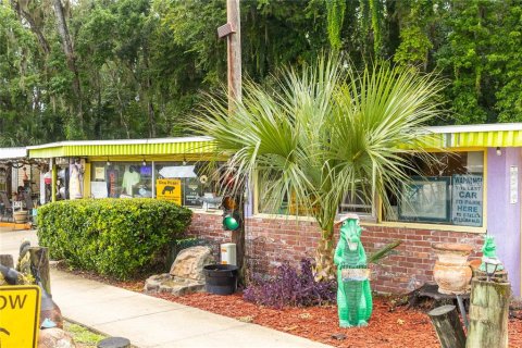 Commercial property in Satsuma, Florida 669.08 sq.m. № 1829949 - photo 4