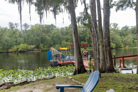 Commercial property in Satsuma, Florida 669.08 sq.m. № 1829949 - photo 8