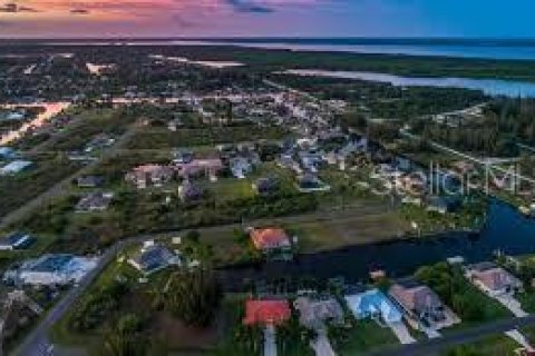 Land in Port Charlotte, Florida № 2166411 - photo 3