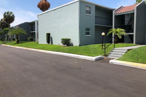 Condo in Tampa, Florida, 1 bedroom  № 2095840