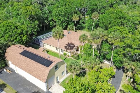 Villa ou maison à vendre à New Smyrna Beach, Floride: 3 chambres, 252.04 m2 № 2101890 - photo 6