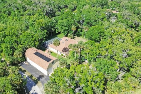 Villa ou maison à vendre à New Smyrna Beach, Floride: 3 chambres, 252.04 m2 № 2101890 - photo 7