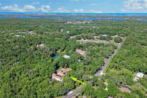 Villa ou maison à vendre à New Smyrna Beach, Floride: 3 chambres, 252.04 m2 № 2101890 - photo 8