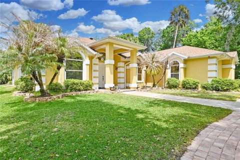 Villa ou maison à New Smyrna Beach, Floride 3 chambres, 252.04 m2 № 2101890
