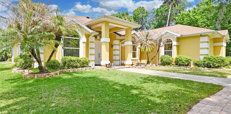 Villa ou maison à New Smyrna Beach, Floride 3 chambres, 252.04 m2 № 2101890
