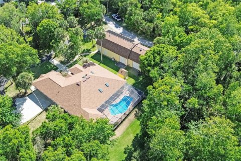Villa ou maison à vendre à New Smyrna Beach, Floride: 3 chambres, 252.04 m2 № 2101890 - photo 5