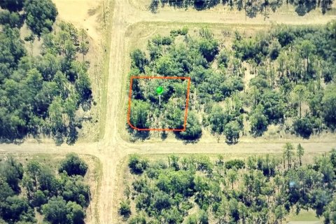 Land in Dunnellon, Florida № 2164706