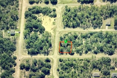 Land in Dunnellon, Florida № 2164706 - photo 2