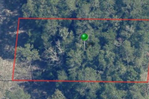 Land in Dunnellon, Florida № 2162106