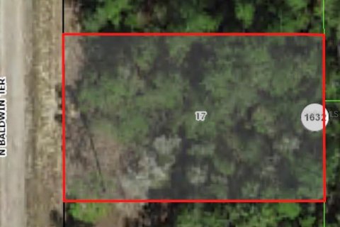 Land in Dunnellon, Florida № 2162106 - photo 2