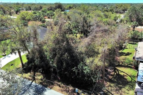 Land in Port Charlotte, Florida № 2164339 - photo 3