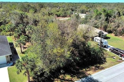 Land in Port Charlotte, Florida № 2164339 - photo 4