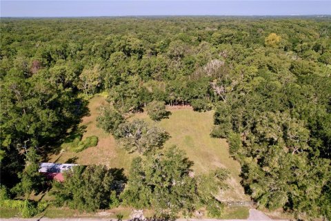 Terrain à vendre à New Port Richey, Floride № 1905734 - photo 9