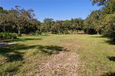 Terrain à vendre à New Port Richey, Floride № 1905734 - photo 4