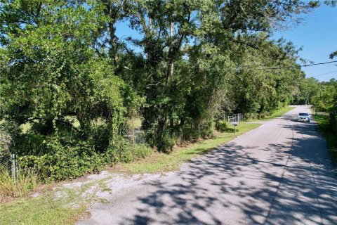 Terrain à vendre à New Port Richey, Floride № 1905734 - photo 3