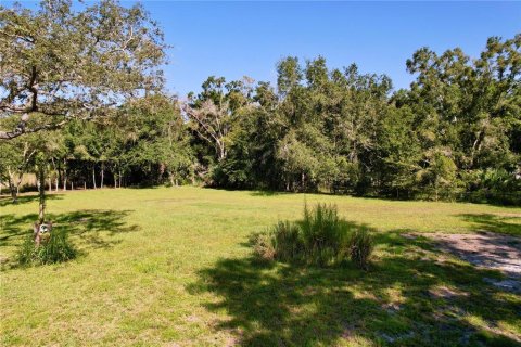 Terrain à vendre à New Port Richey, Floride № 1905734 - photo 5