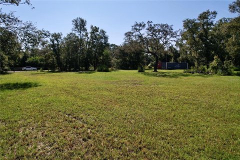 Terrain à vendre à New Port Richey, Floride № 1905734 - photo 6