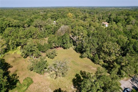 Terrain à vendre à New Port Richey, Floride № 1905734 - photo 12
