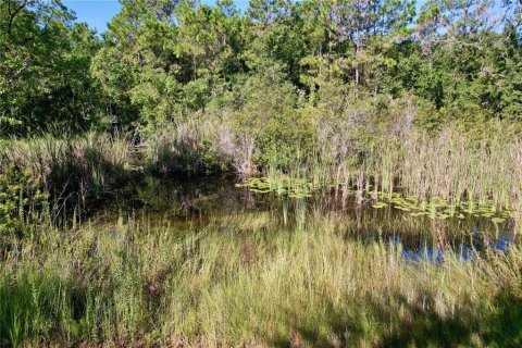 Terrain à vendre à New Port Richey, Floride № 1905734 - photo 7