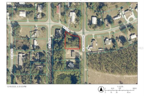 Land in Ocklawaha, Florida № 2164607 - photo 2