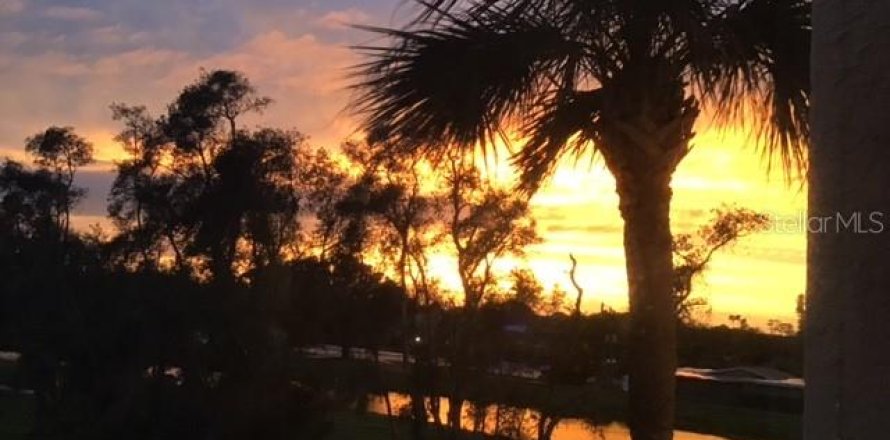 Condo in Seminole, Florida, 2 bedrooms  № 2207467