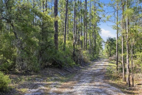 Land in Fort MC Coy, Florida № 2096676 - photo 17