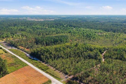 Land in Fort MC Coy, Florida № 2096676 - photo 2