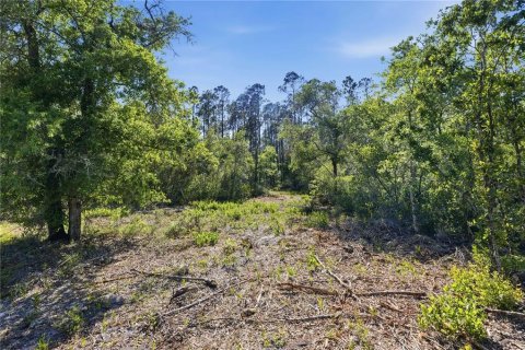 Land in Fort MC Coy, Florida № 2096676 - photo 8