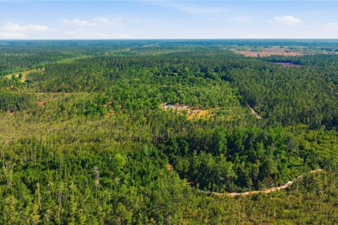 Land in Fort MC Coy, Florida № 2096676 - photo 10