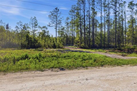 Land in Fort MC Coy, Florida № 2096676 - photo 16