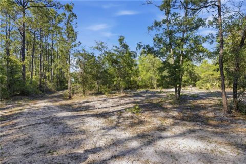 Land in Fort MC Coy, Florida № 2096676 - photo 11
