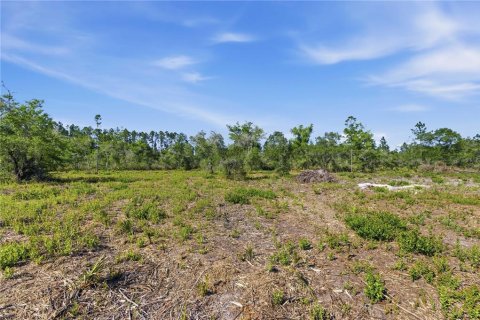 Land in Fort MC Coy, Florida № 2096676 - photo 14