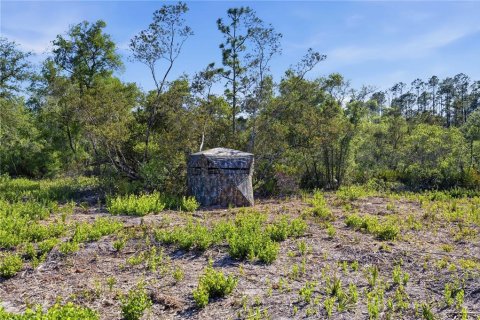 Land in Fort MC Coy, Florida № 2096676 - photo 7