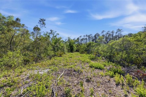 Land in Fort MC Coy, Florida № 2096676 - photo 15