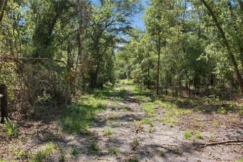 Land in Fort MC Coy, Florida № 2096676 - photo 5