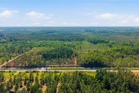 Land in Fort MC Coy, Florida № 2096676 - photo 6