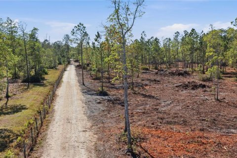 Land in Fort MC Coy, Florida № 2096676 - photo 3